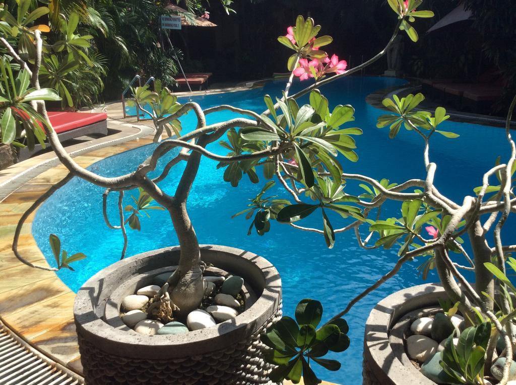 Secret Garden Inn Kuta Lombok Eksteriør billede